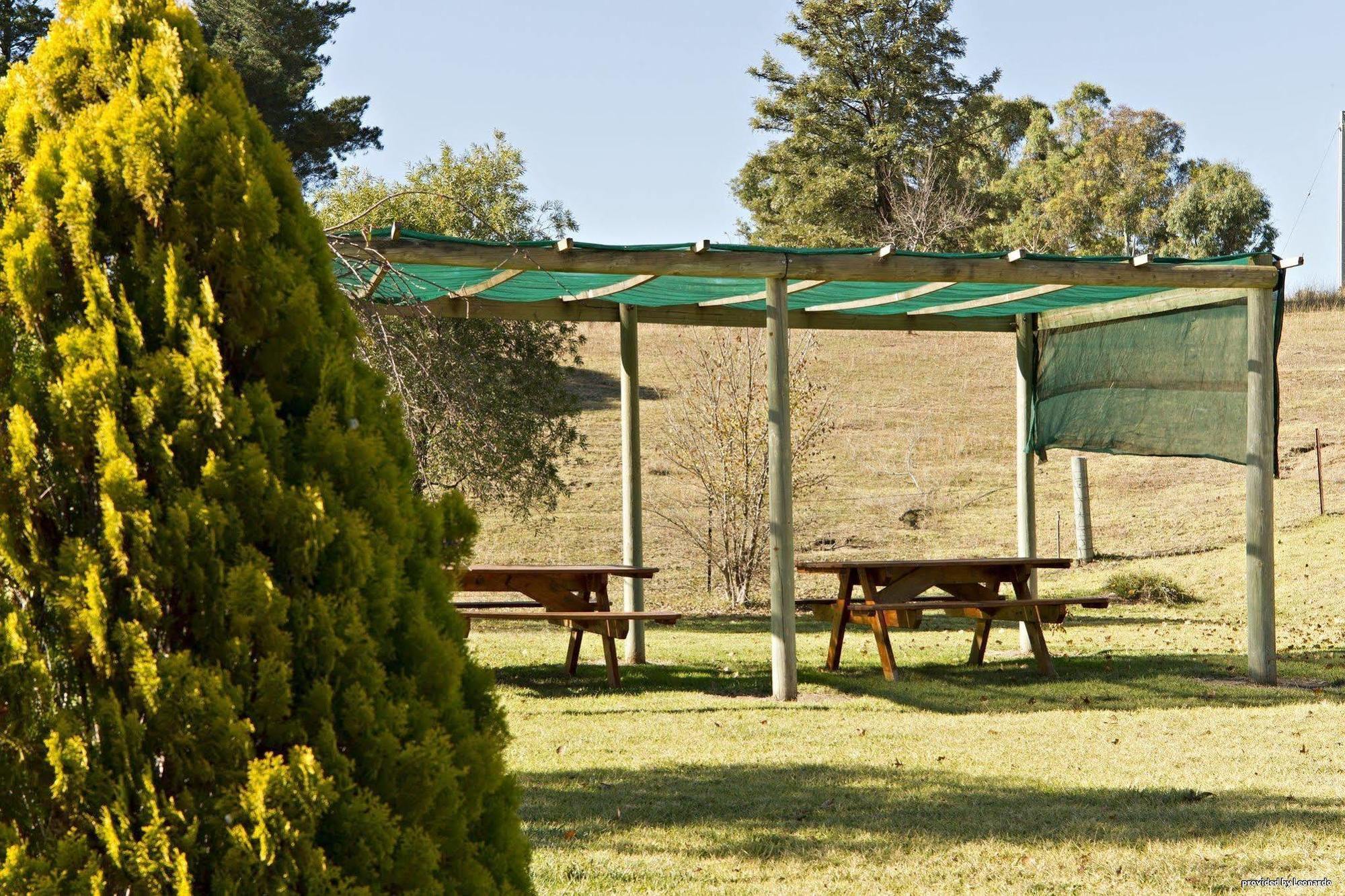 Hilltops Retreat Motor Inn Young Restoran fotoğraf